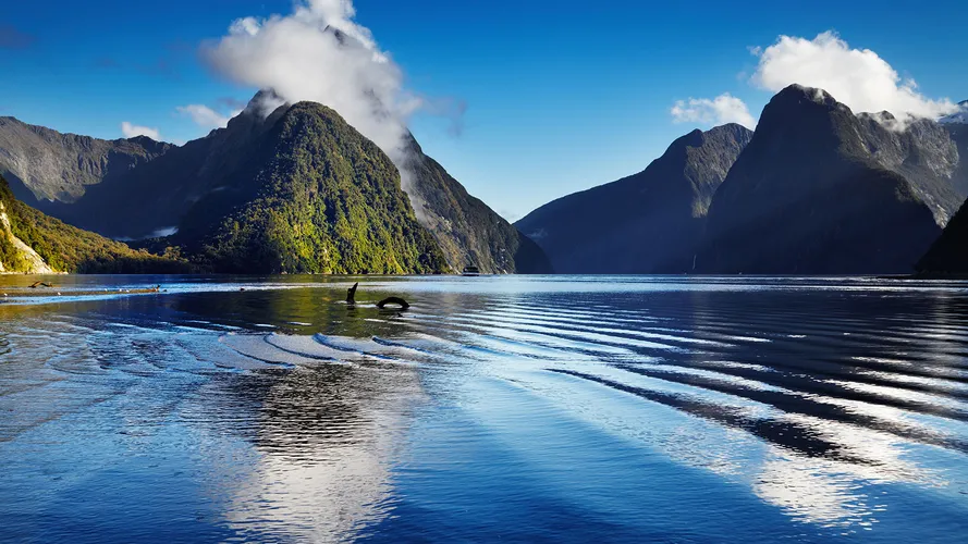 New Zealand's South Island by Superyacht