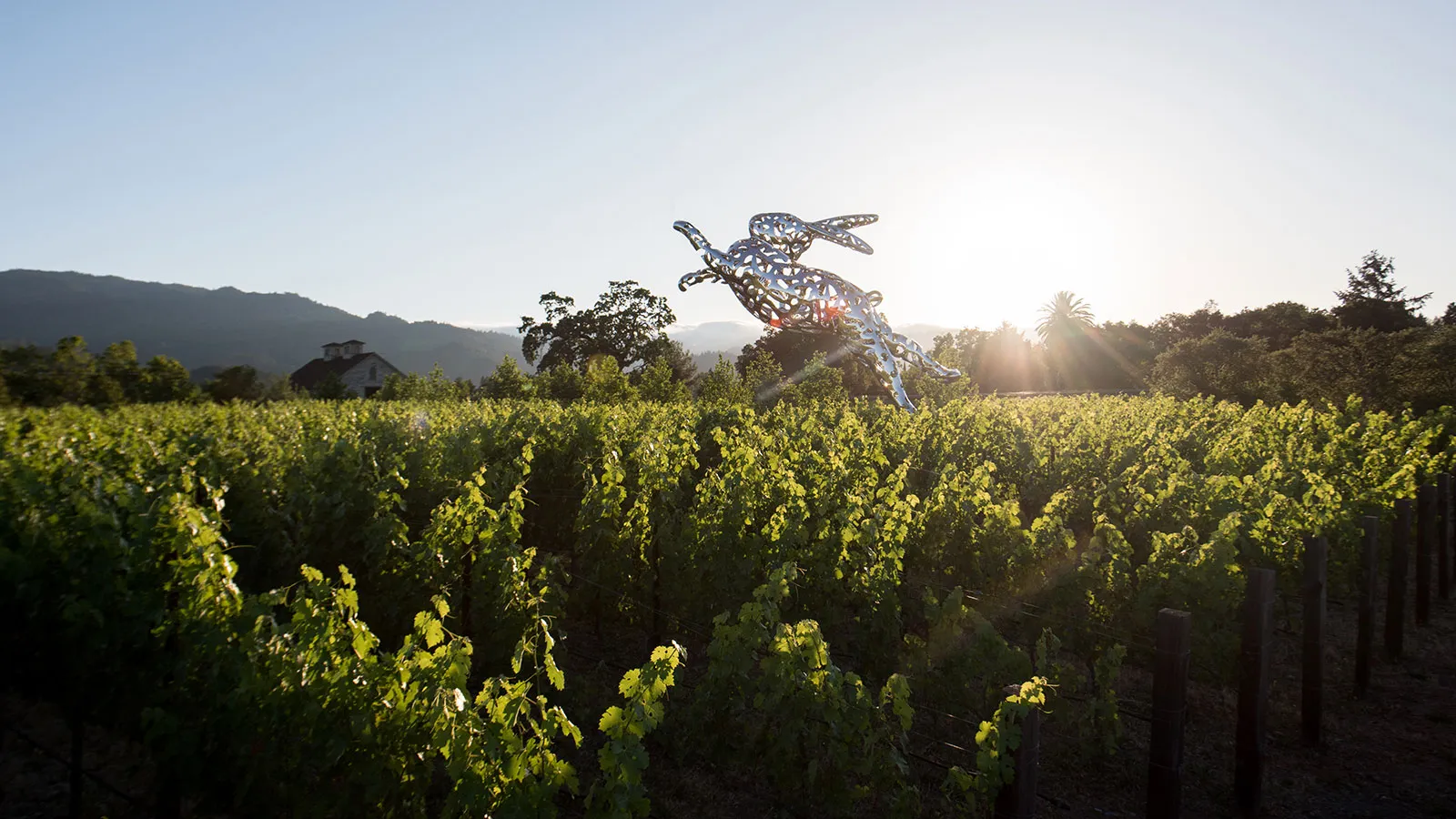 The 35ft steel sculpture Bunny Foo Foo at Hall St. Helena vineyard in Napa Valley