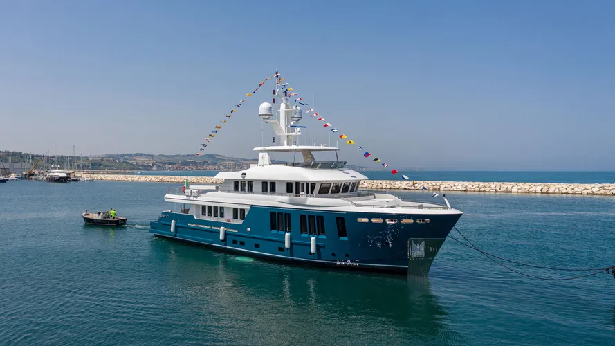 Darwin 115 launches