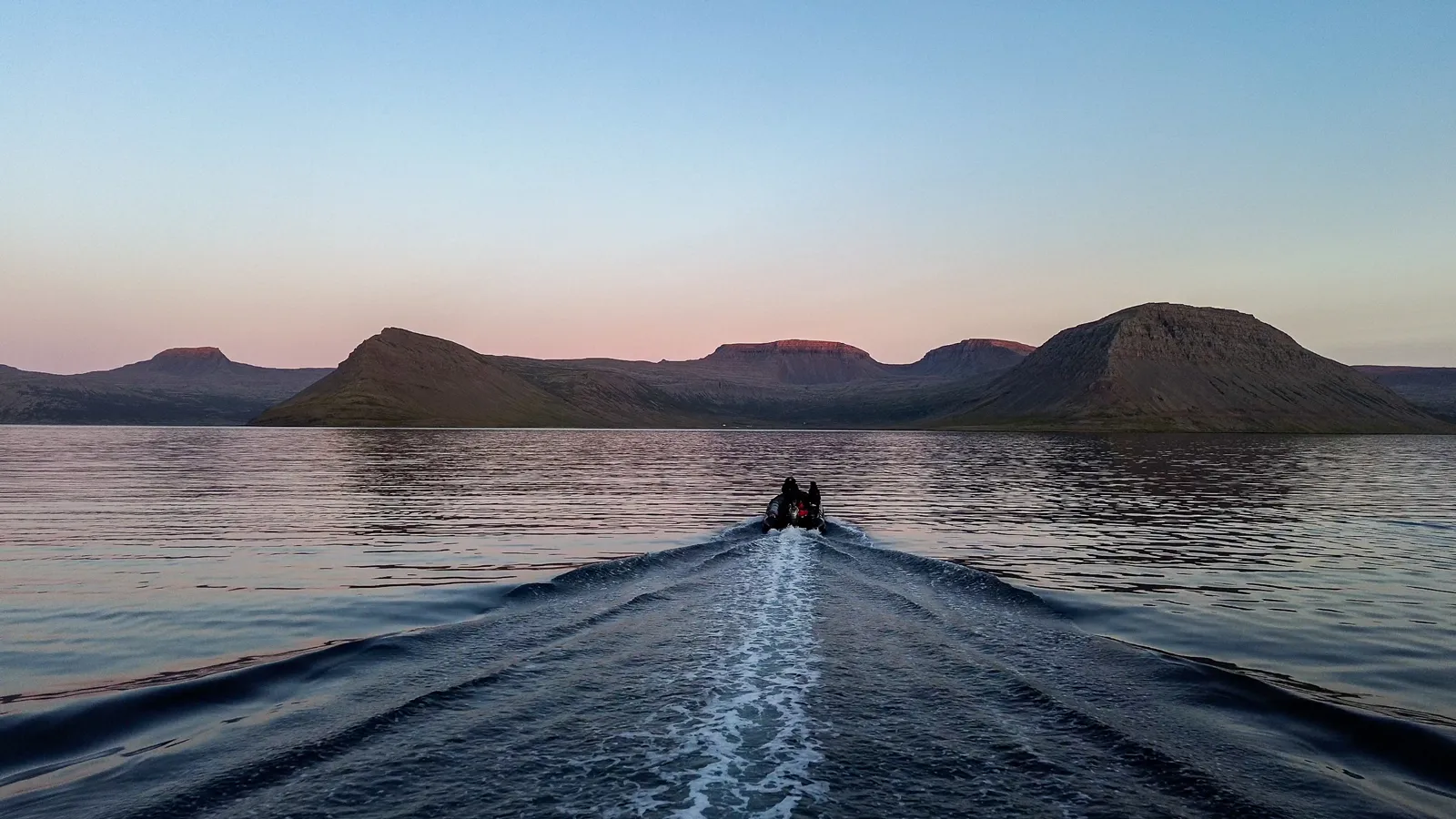 scintilla maris tender