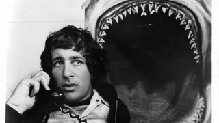 jaws shark film