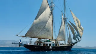 arktos sailing yacht for charter