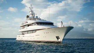 The yacht charter offering the wildlife encounter on everyone's bucket list