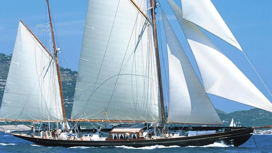 black-swan-yacht-running