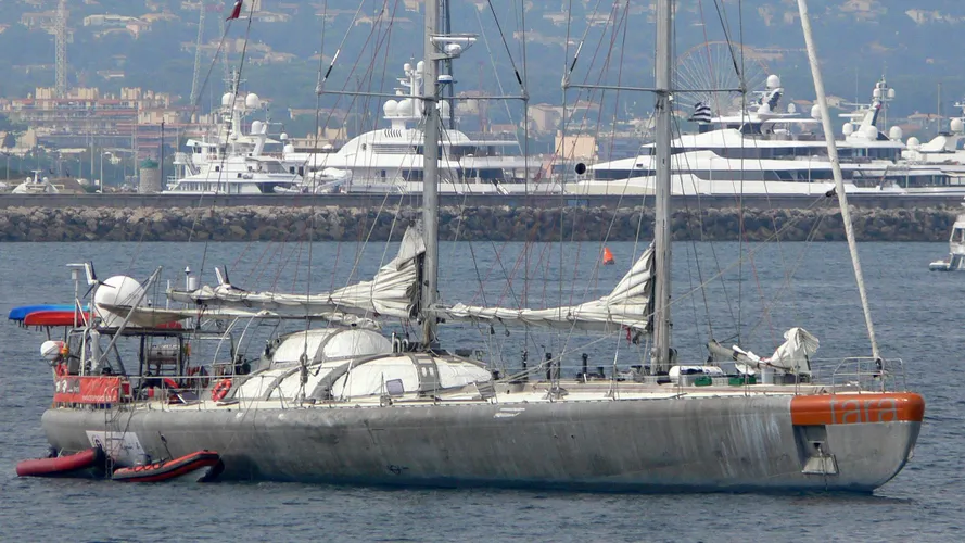 tara-half-sailing-yacht-sfcn-1989-36m-anchored