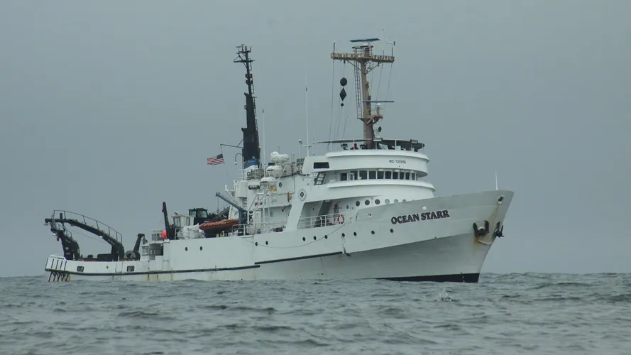 Ocean Starr - Fincantieri