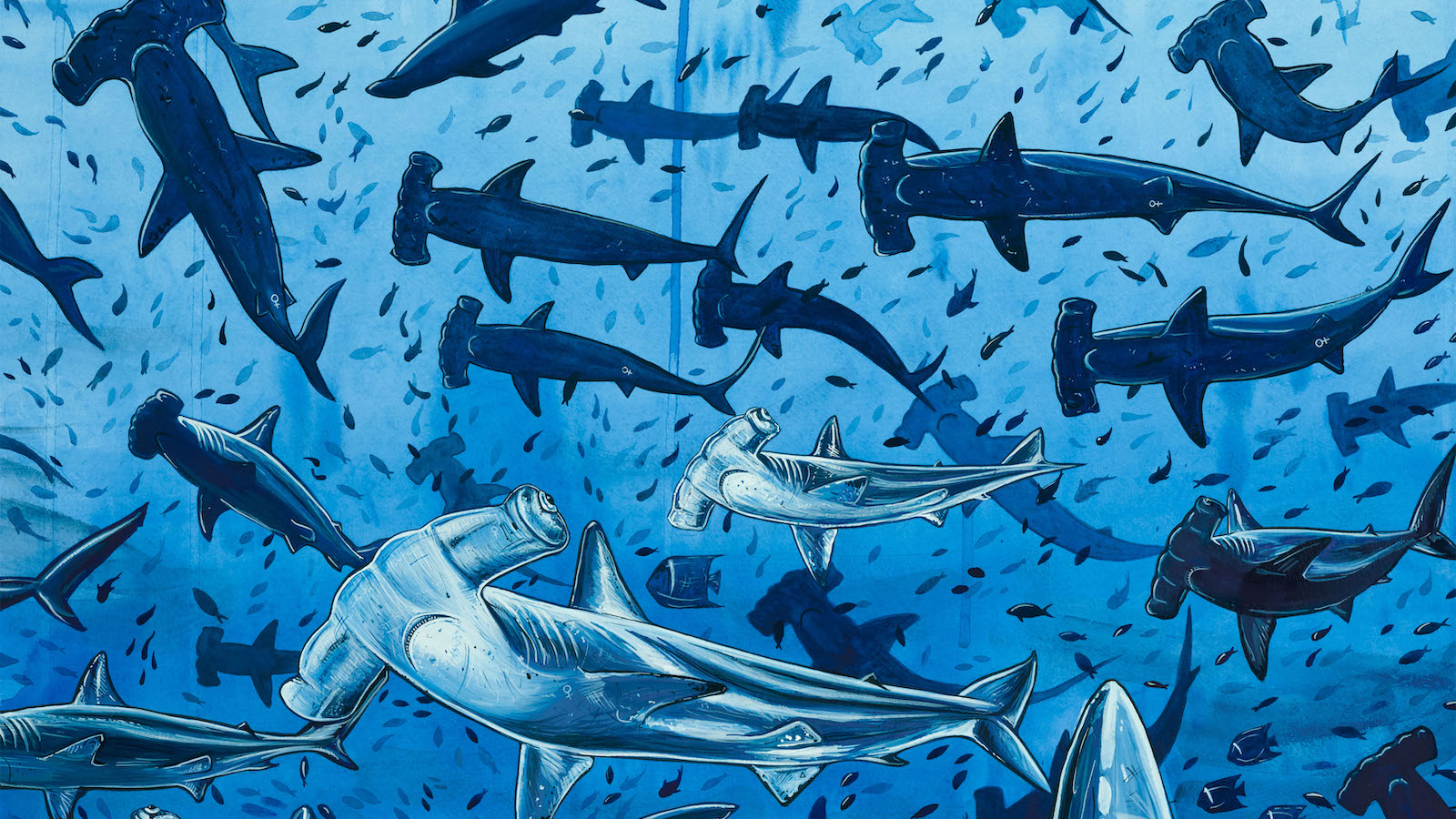 Meet the nominees for the 2023 Ocean Awards
