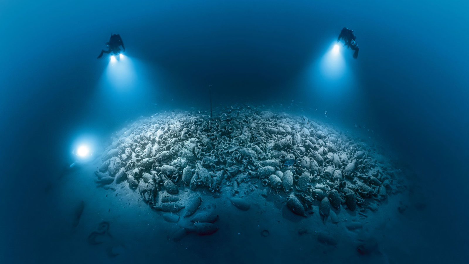 Announcing underwater photographer Laurent Ballesta as joint